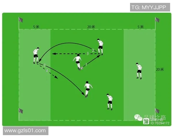 武汉足球队反击战术解析与未来发展展望