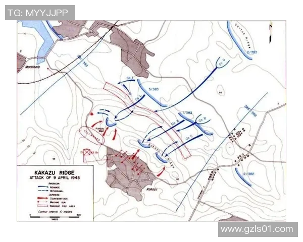 深入分析杭州排球队的阵地战战术及其在比赛中的应用效果
